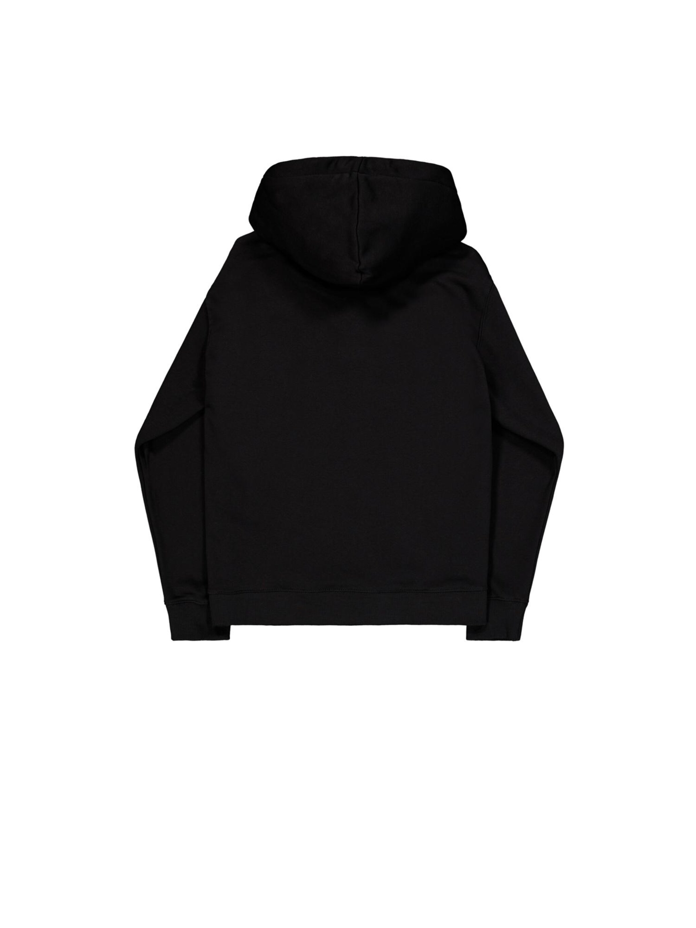 ALPHA INDUSTRIES Sweatshirt 'Basic' in Black