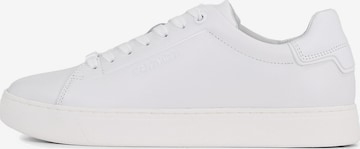 Baskets basses Calvin Klein en blanc : devant