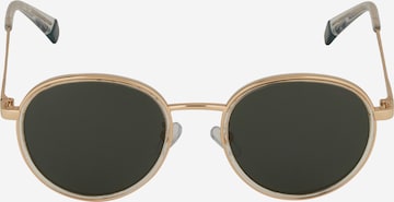 Polaroid Sunglasses in Gold