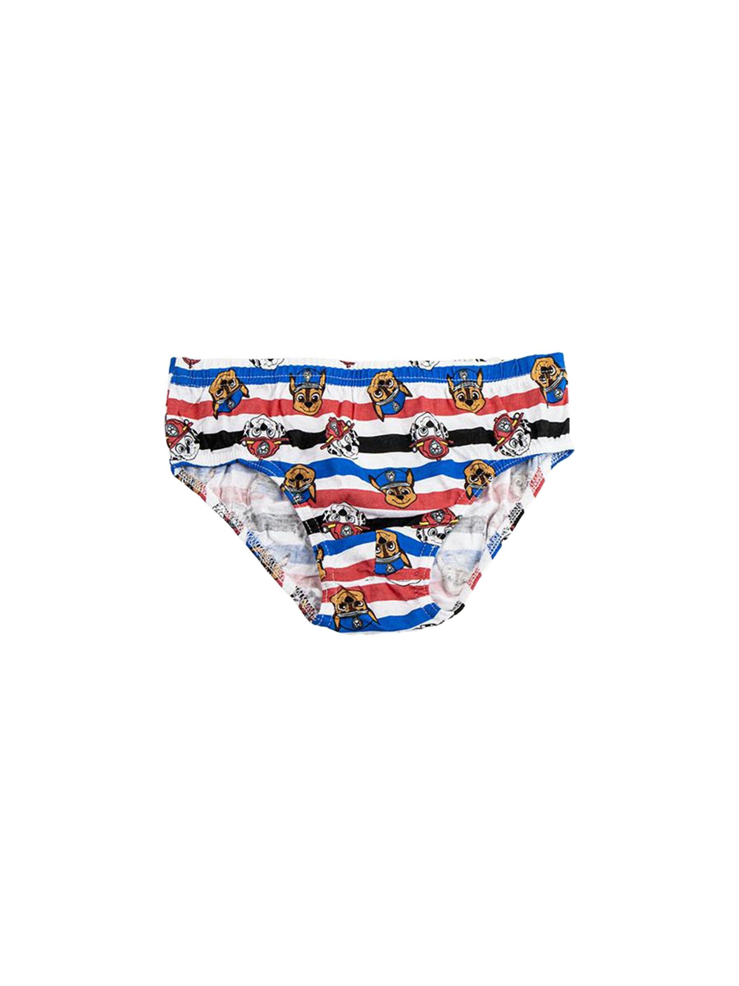 DISNEY Underwear Set 'Unterwäsche-Set für Mädchen, 5 Teile, Paw Patrol' in Mixed colors