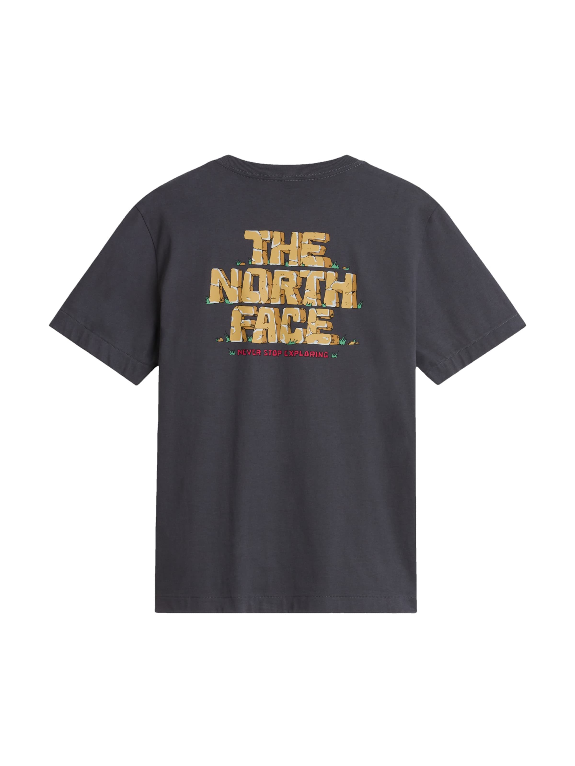 THE NORTH FACE T-Shirt in Grau