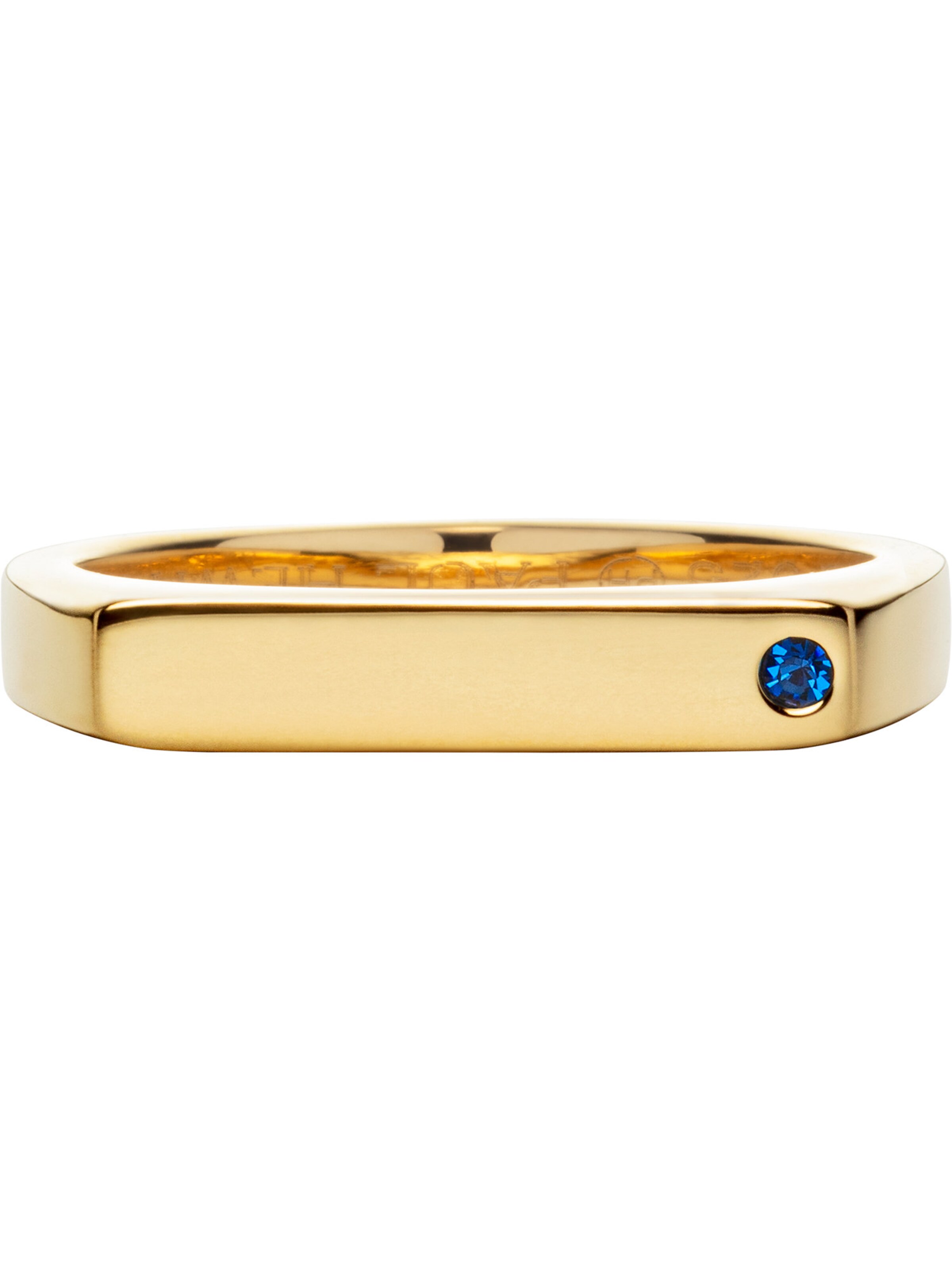Paul Hewitt Ring in Gold: Vorderseite