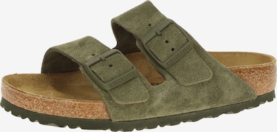 BIRKENSTOCK Pantolette 'Birkenstock Arizona BS Pantolette grün thyme Normal Weit 1025657' in 44 in grün, Produktansicht