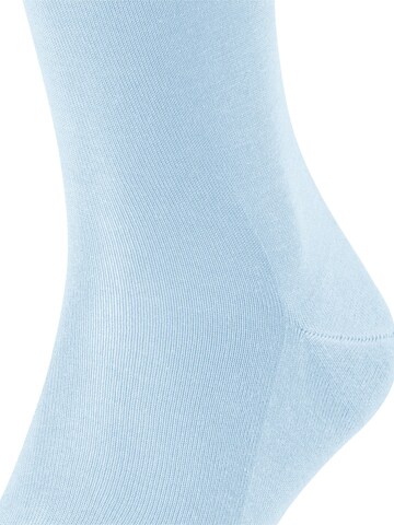 FALKE Knee High Socks 'Tiago' in Blue