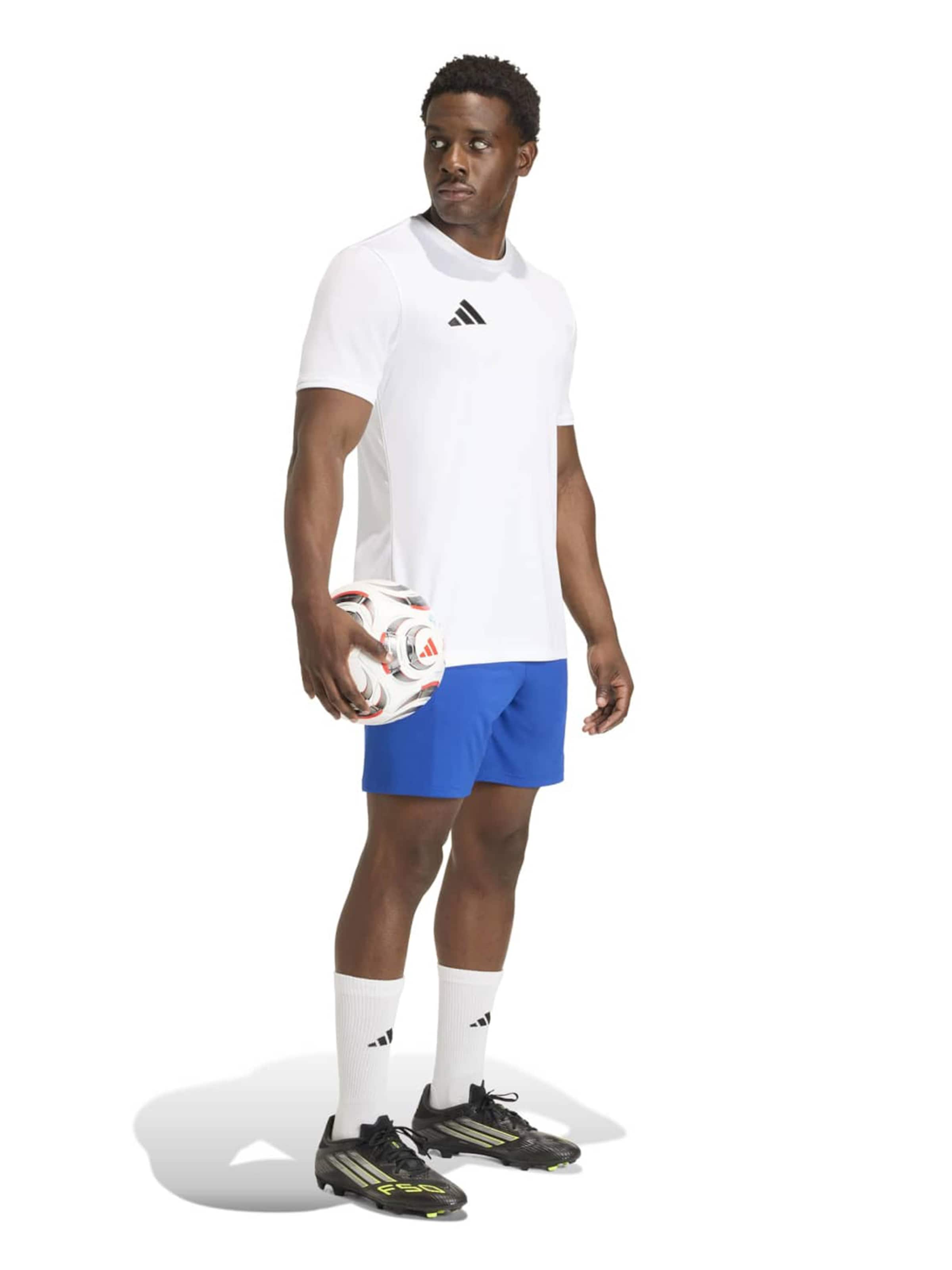 ADIDAS PERFORMANCEregular Sportske hlače 'ENT26' - plava boja