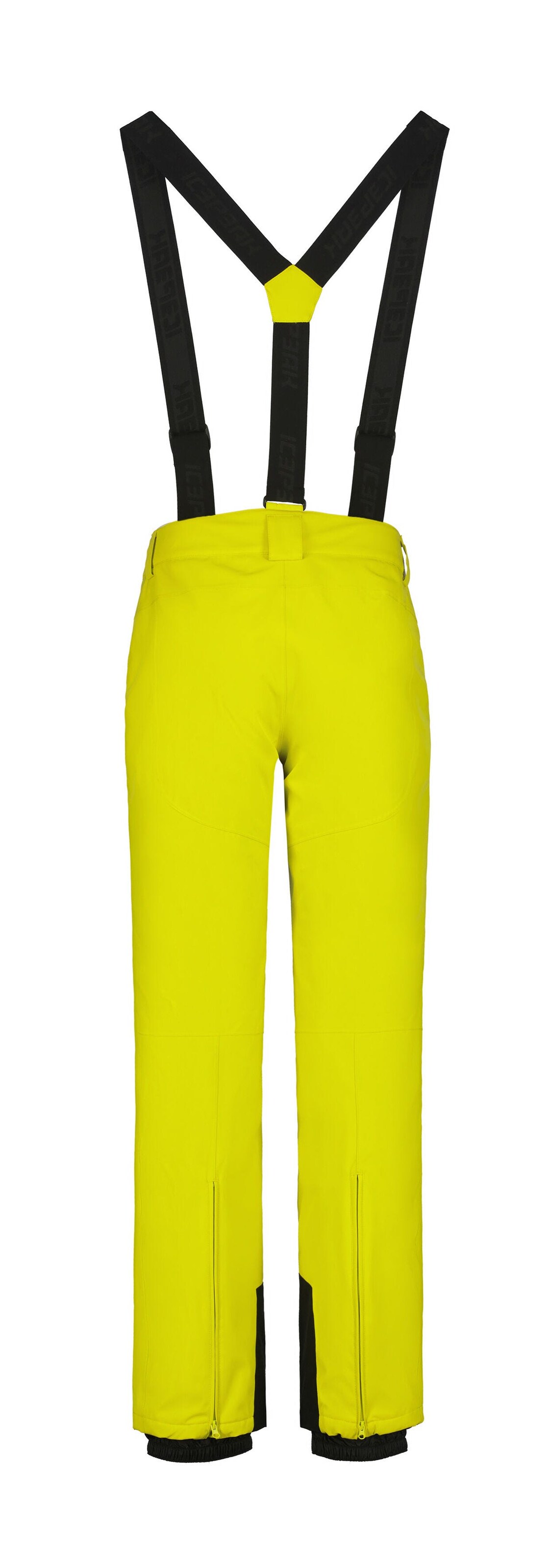 ICEPEAK Regular Workout Pants in Green