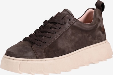 Apple of Eden Sneakers 'LIZZO' in Brown: front