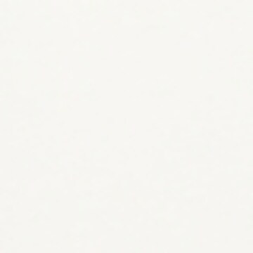 T-Shirt 'Eichbichler' Carlo Colucci en blanc