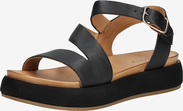 INUOVO Sandale in Schwarz: Vorderseite