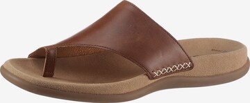 GABOR T-Bar Sandals in Brown: front