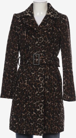 Miss Selfridge Jacket & Coat in XS in Brown: front