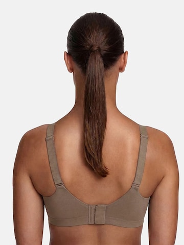 cfab Push-up Behå 'Seamless Compact Push-Up BH' i brun