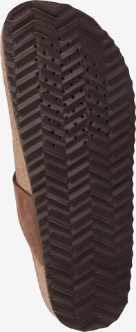 GEOX T-Bar Sandals in Brown