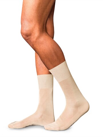 FALKE Socks 'No. 9 Pure Fil d´Écosse' in Beige