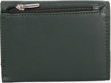 Sergio Valentini Wallet in Green: front