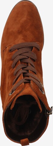 ARA Lace-Up Ankle Boots in Brown