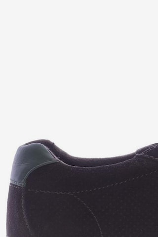 Polo Ralph Lauren Sneaker 43 in Braun