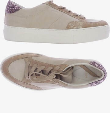 JOOP! Sneakers & Trainers in 40 in Beige: front