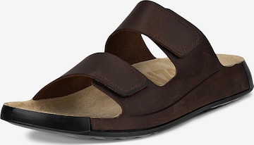 ECCO Mules in Brown: front