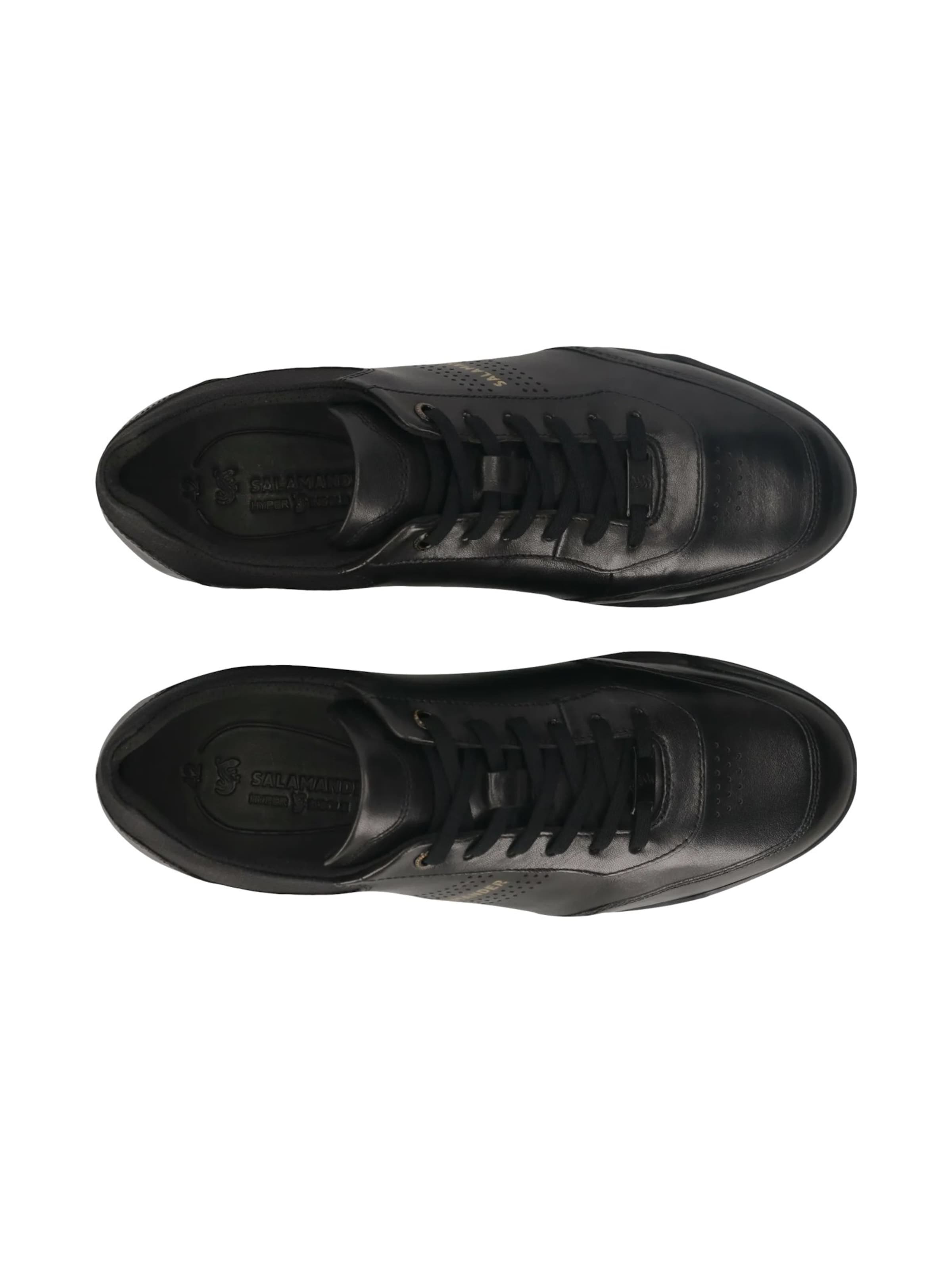 Baskets basses SALAMANDER en noir