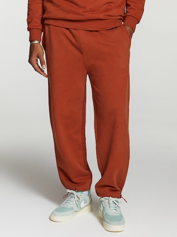 Shiwi Tapered Broek in Bruin: voorkant