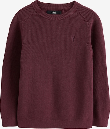 Next Sweater in Purple: front