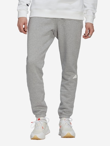 regular Pantaloni sportivi 'Fleece' di ADIDAS SPORTSWEAR in grigio: frontale