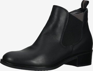 ARA Ankle Boots 'Parker' in Schwarz: predná strana