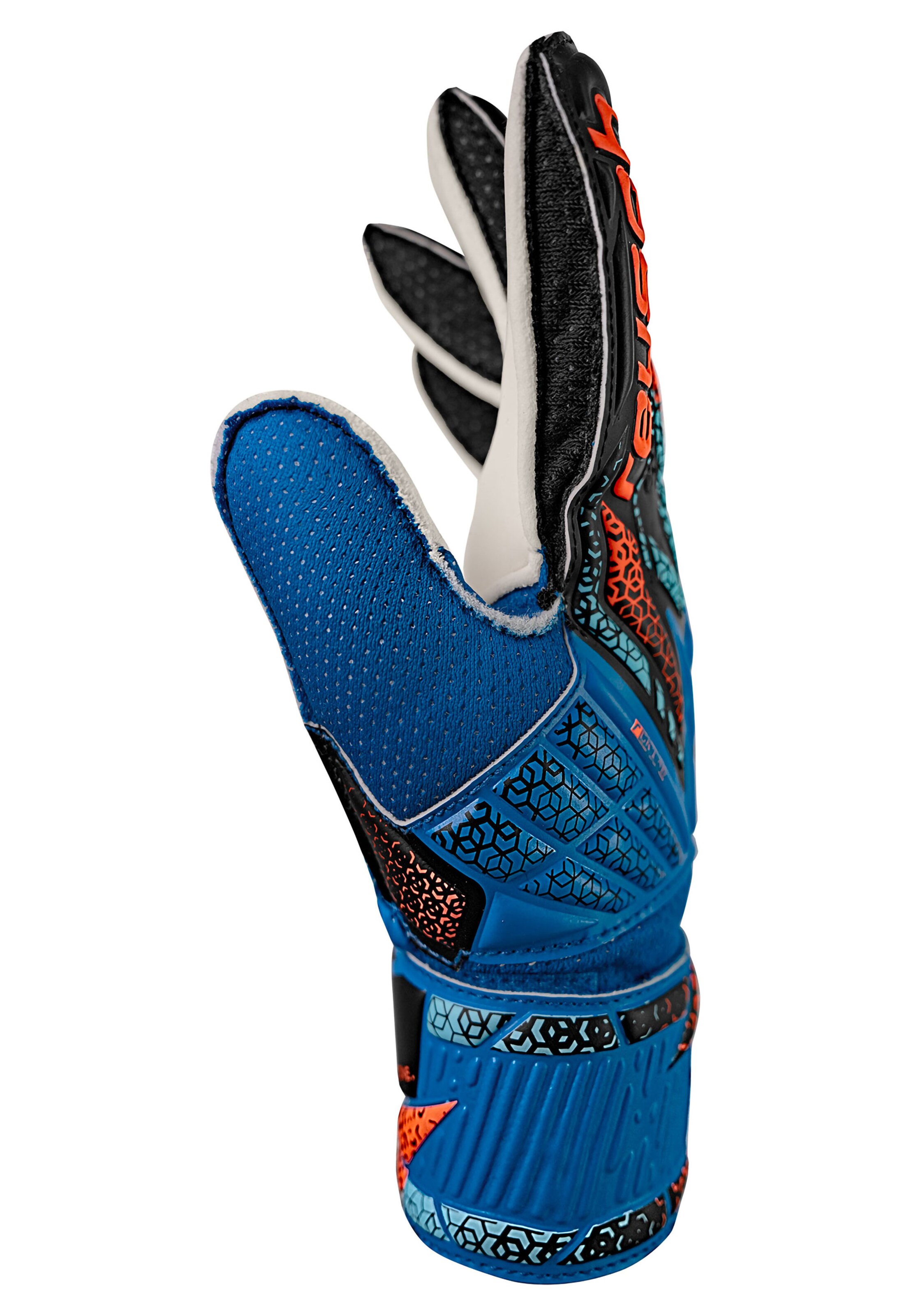 REUSCH Torwarthandschuhe 'Attrakt Solid Junior' in Blau