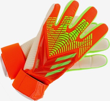 ADIDAS PERFORMANCE Athletic Gloves in Orange: front