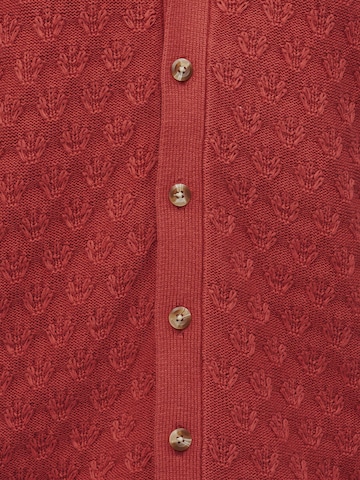 Abercrombie & Fitch Плетена жилетка 'RAFFIA' в оранжево