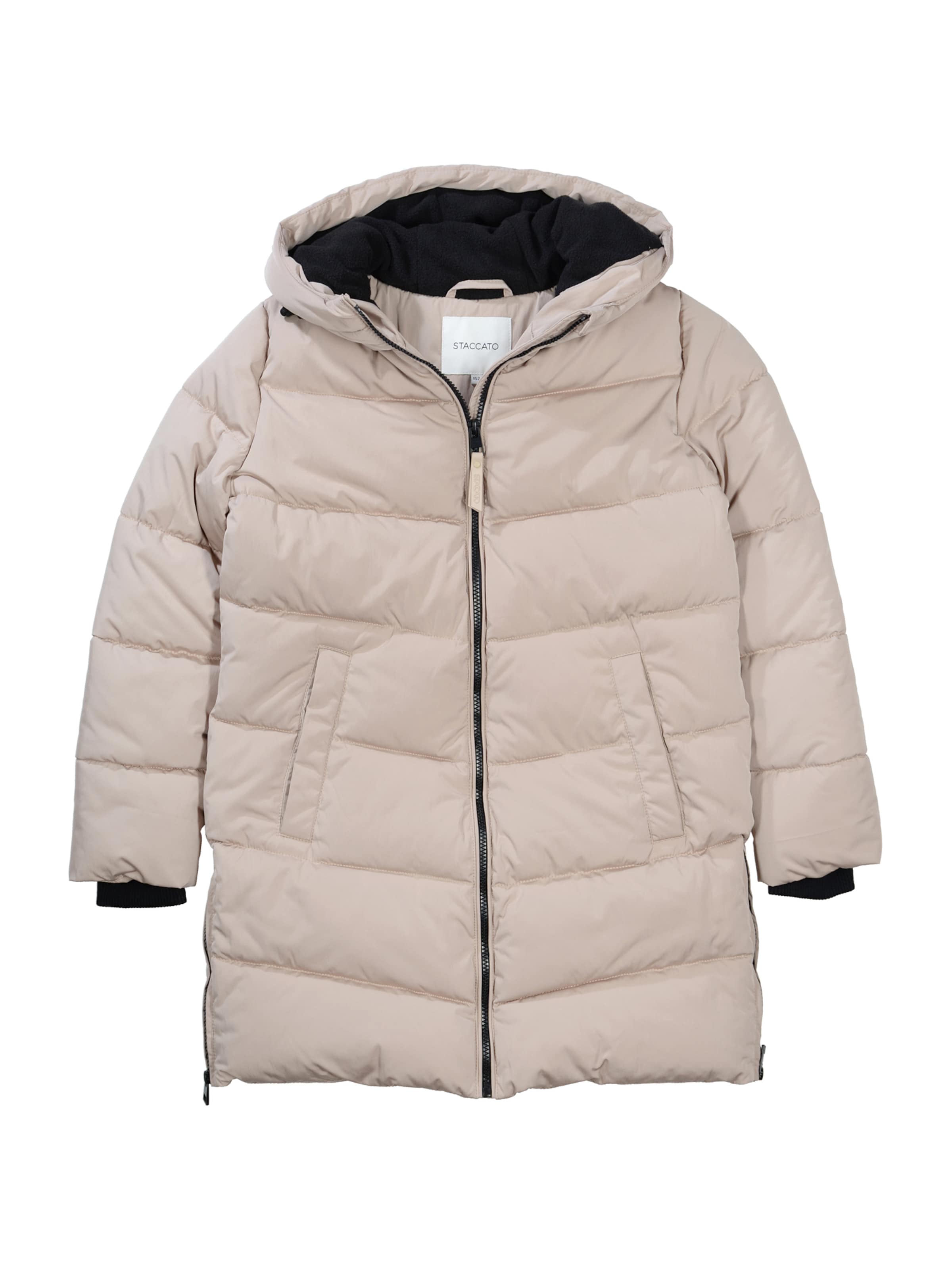 STACCATOKaput - siva boja: prednji dio