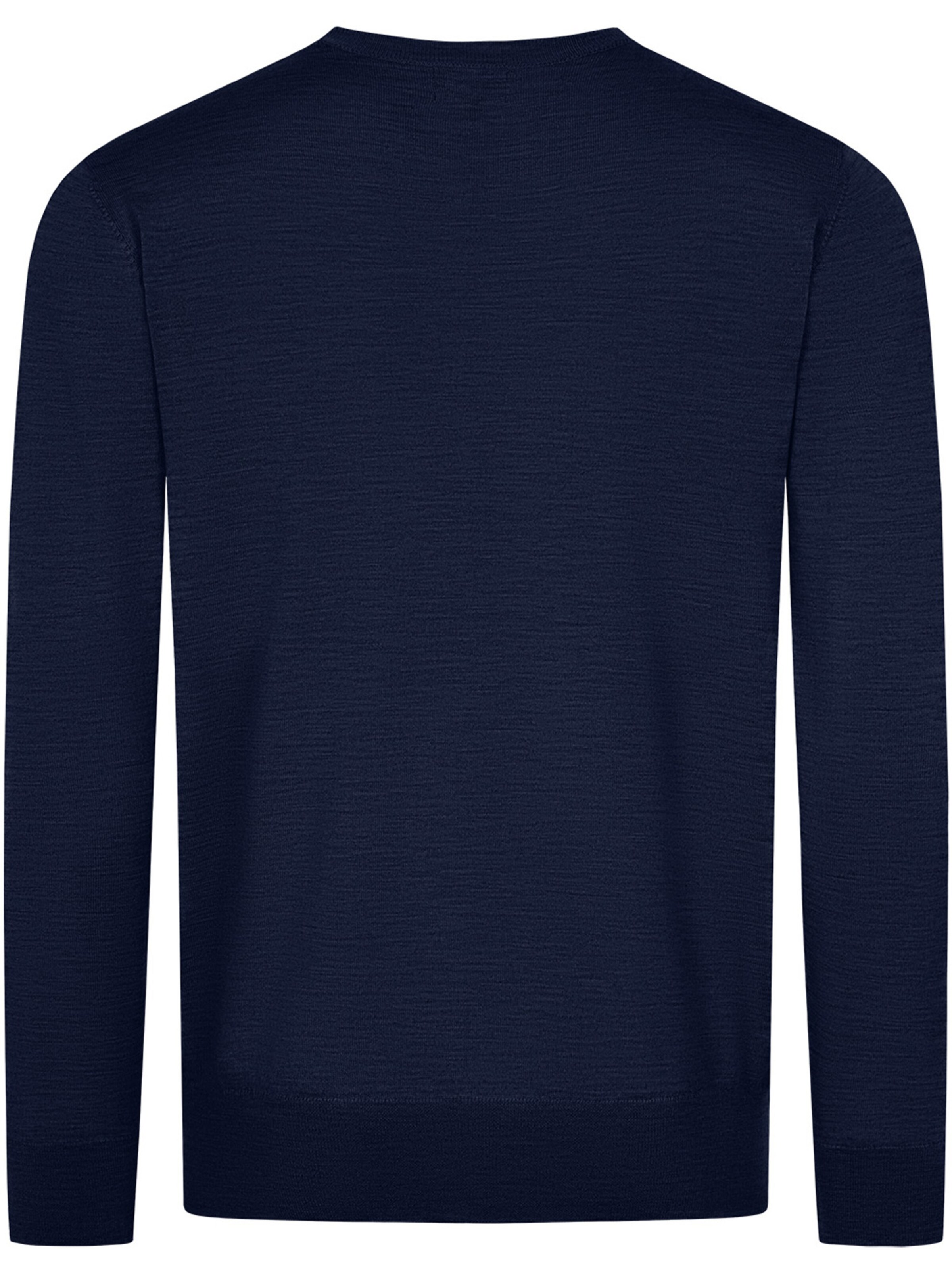 GIESSWEIN Trui in Blauw
