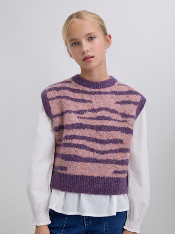 Scalpers Свитер в Лиловый