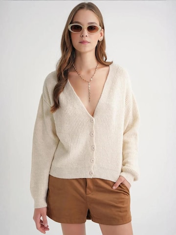MixRay Knit Cardigan in Beige: front