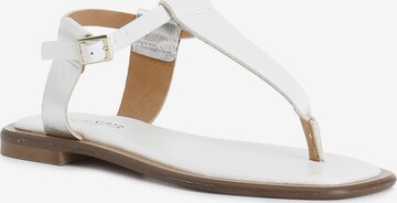 Séparateur d'orteils CAFè NOIR en argent : devant