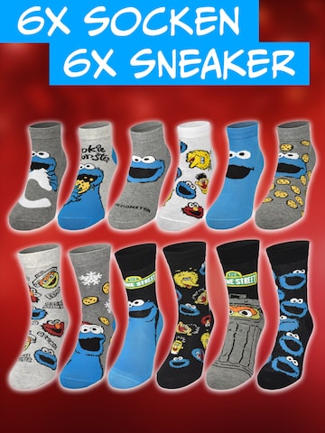 SESAMSTRASSE Socken 'Adventskalender mit 12 Paar'‌‌‌ in Mischfarben