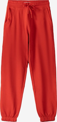 Bershka Tapered Hose in Rot: predná strana