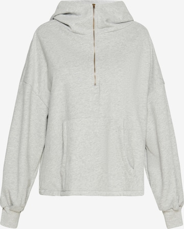 usha BLUE LABEL - Sudadera en gris: frente