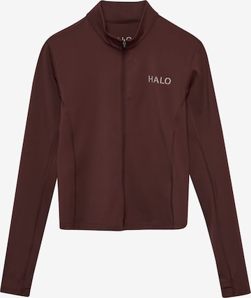 HALO Training jacket in Brown: front