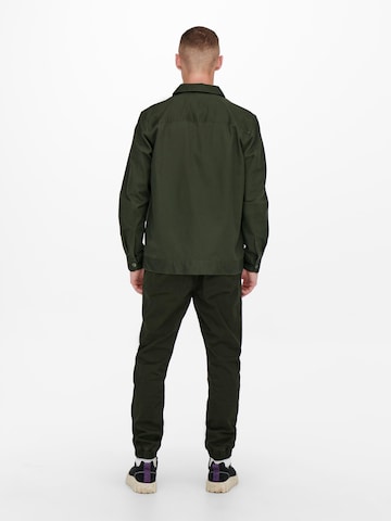 Only & Sons Tapered Pants 'Linus' in Green