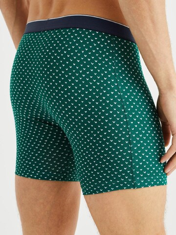 WE Fashion Boxer shorts in Green