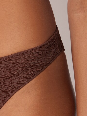 CALZEDONIA Bikini Bottoms 'Crinkle Waves' in Brown