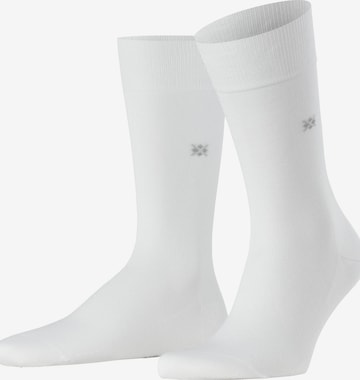BURLINGTON Socks 'Dublin' in White: front