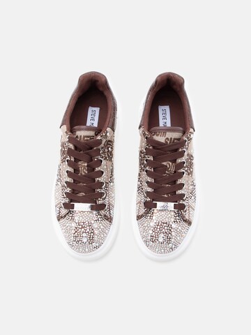 STEVE MADDEN Σνίκερ χαμηλό σε καφέ