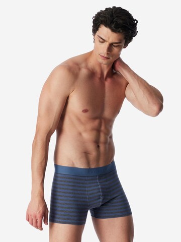 SCHIESSER Boxershorts '95/5 Cotton' in Blauw
