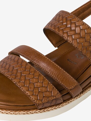 Sandales TAMARIS en marron