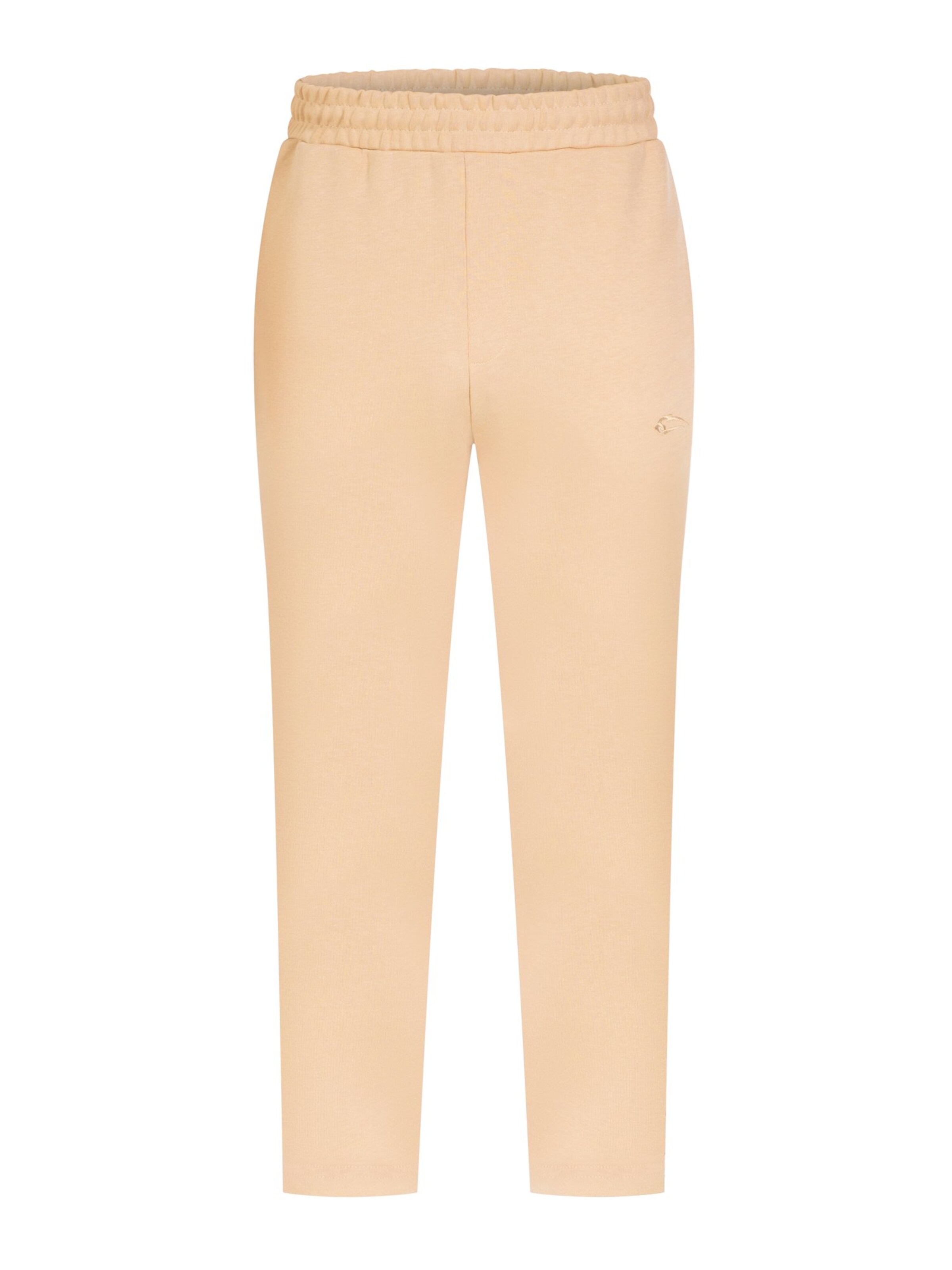 Pantalon ' David ' Smilodox en beige : devant