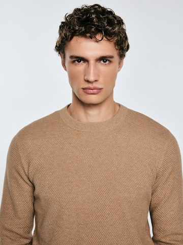 BIG STAR Sweater 'REYLON ' in Brown