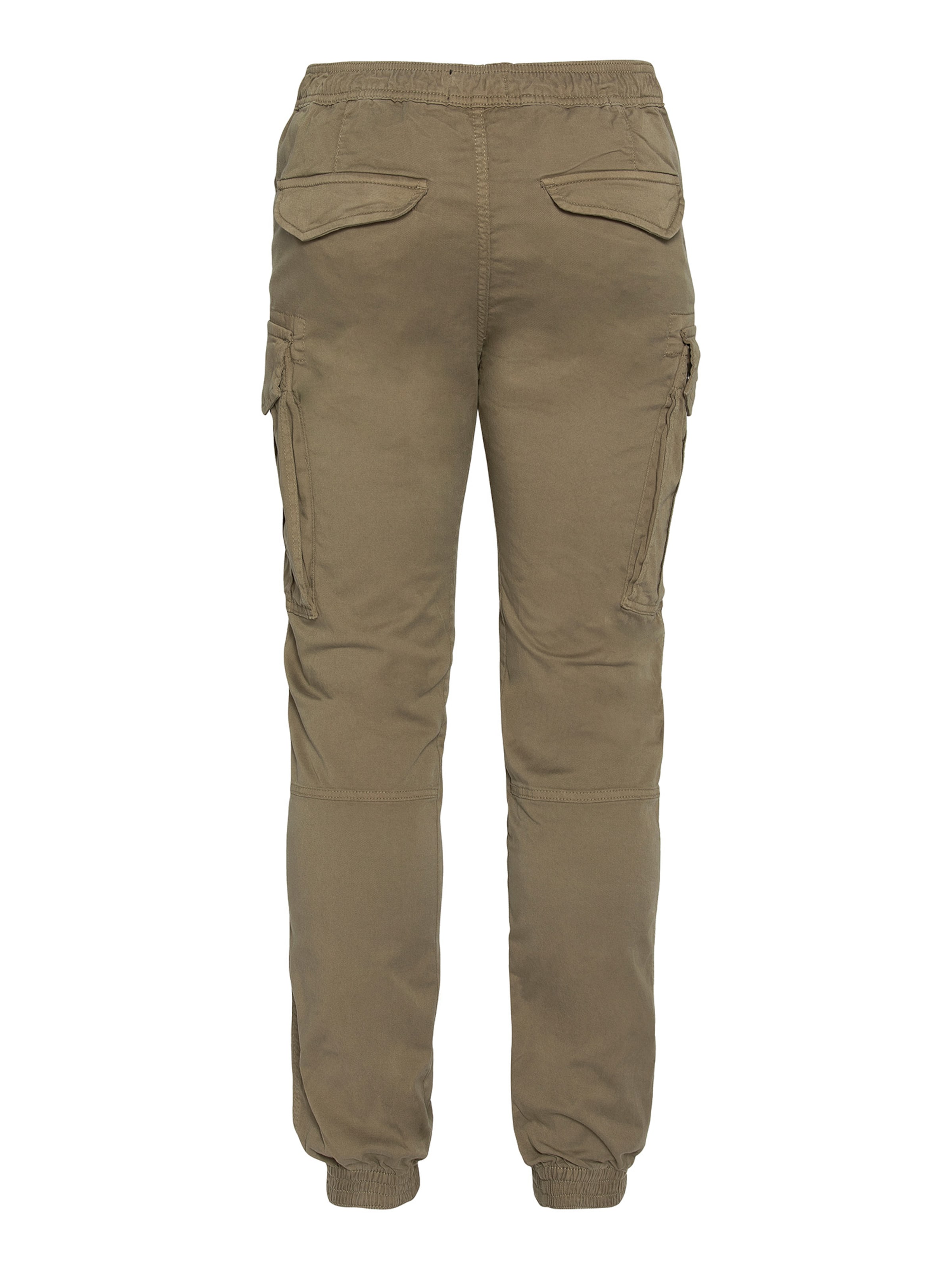 Schott NYC Regular Cargo Pants in Green